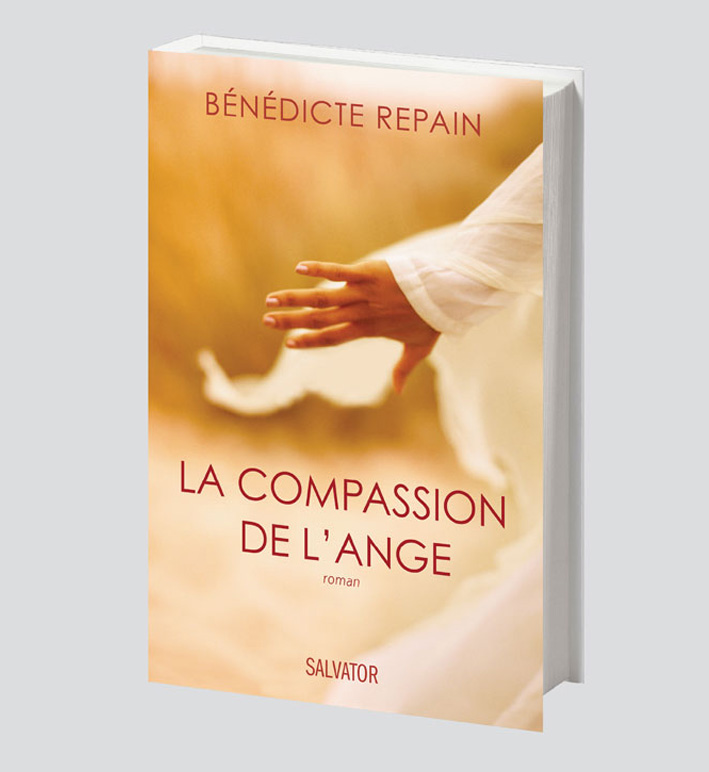 SALVATOR COUVERTURES  11 repain