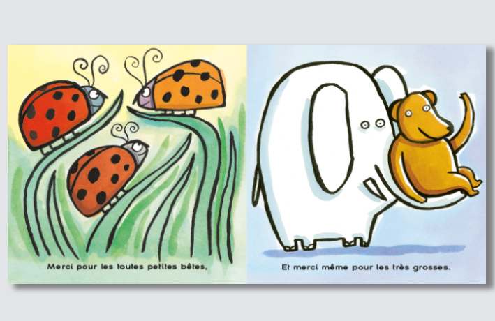 SALVATOR FAMILLE  17 coccinelle