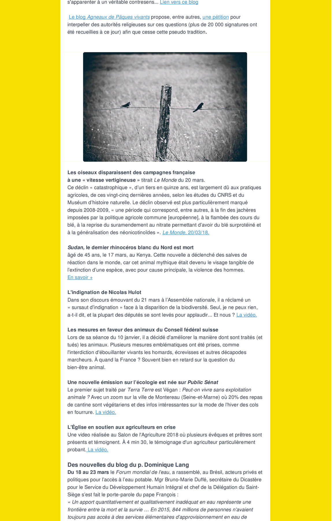 RS ECO  13 CUT NL avril2018 3