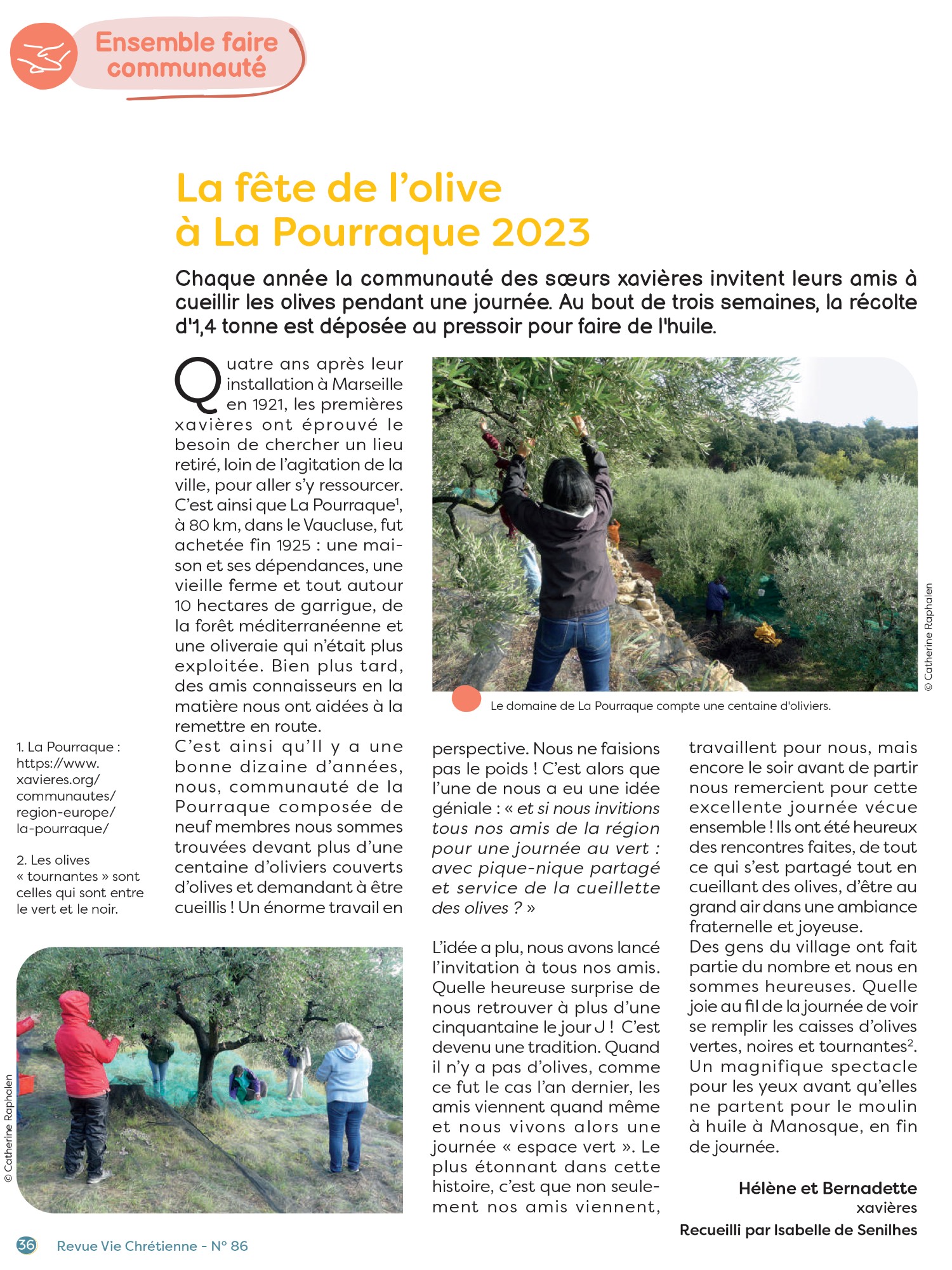 Rvx article 17