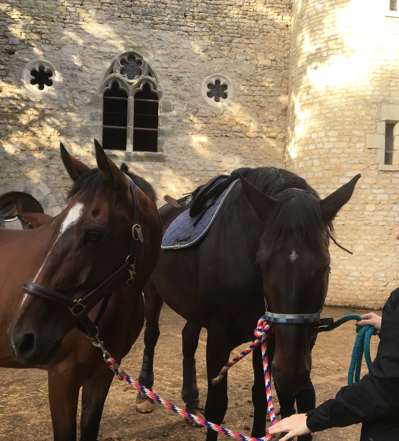 CHAMP FORTS  17 champsforts13