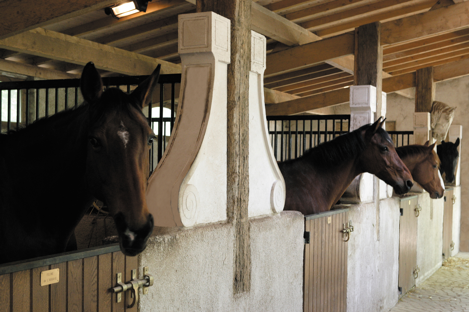 CHAMP FORTS  27 champsforts32