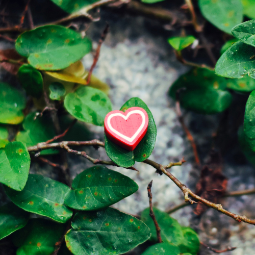 Mes coups de cœur de créateurs